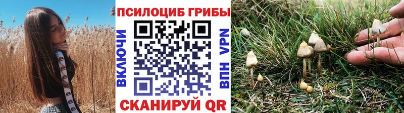 Галлюциногенные грибы мицелий  купить   Среднеуральск 